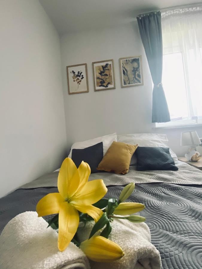 Apartamenty Majka Zator Eksteriør bilde